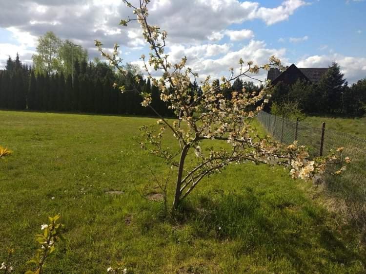 Domki Orla Pasym Bagian luar foto